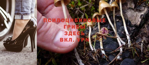 мдпв Кинешма