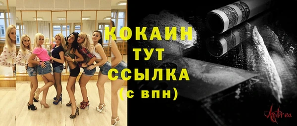 мдпв Кинешма
