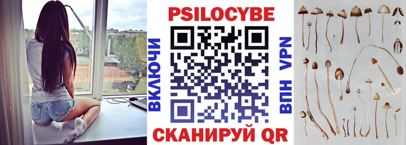 Купить закладки  Светогорск  Галлюциногенные грибы прущие грибы 